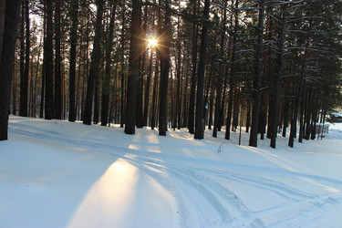 Similar image 21674742