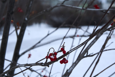 Similar image 21685360