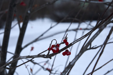 Similar image 21685361