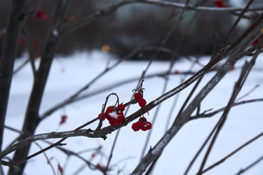 Similar image 21685362