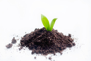 Similar image 21685266