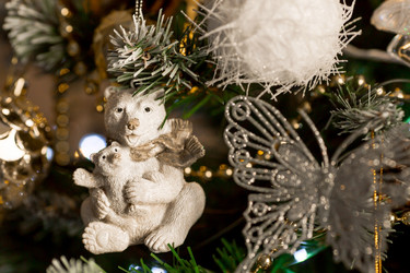 Similar image 21685276