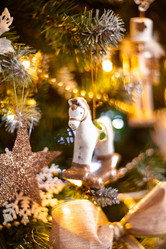 Similar image 21685278