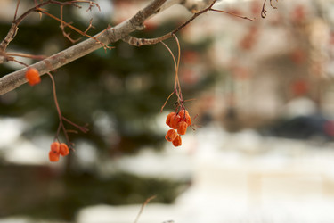 Similar image 21685363