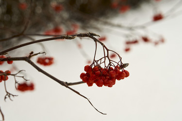 Similar image 21685365