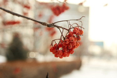 Similar image 21685366