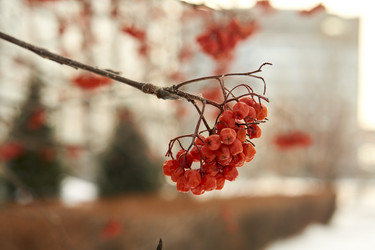 Similar image 21685367