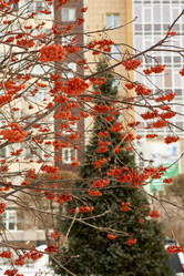 Similar image 21685368