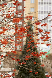 Similar image 21685369