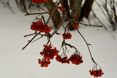 Similar image 21685370