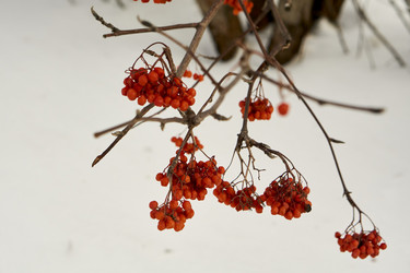 Similar image 21685371