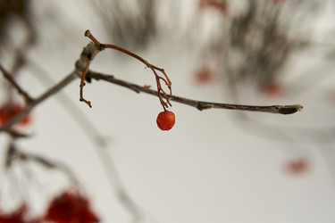 Similar image 21685372