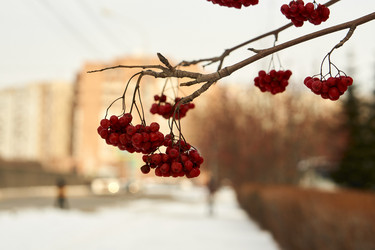 Similar image 21685373