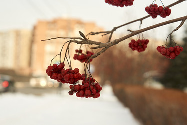 Similar image 21685374