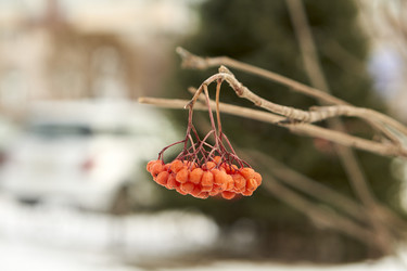 Similar image 21685375