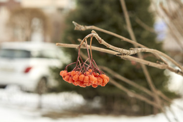 Similar image 21685376