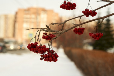 Similar image 21685377