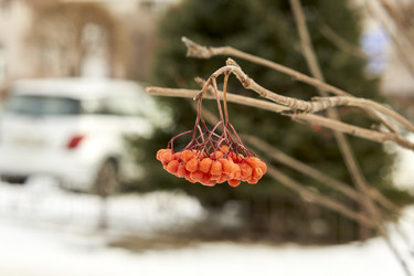 Similar image 21685378