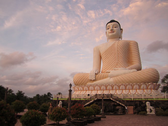 Similar image 21685279