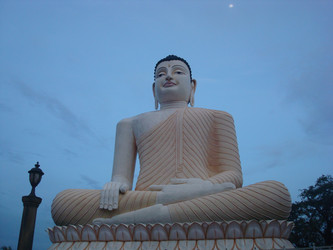 Similar image 21685283