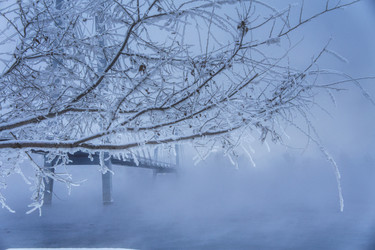 Similar image 21670495