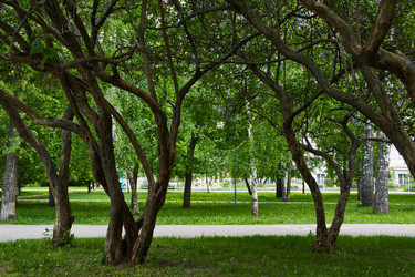 Similar image 21679505