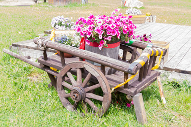 Similar image 21673964