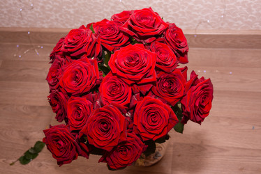 Similar image 21665359