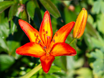 Similar image 21663060