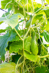 Similar image 21673057