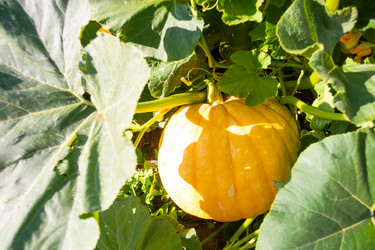 Similar image 21673058