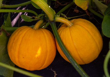 Similar image 21673060