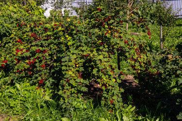 Similar image 21673061