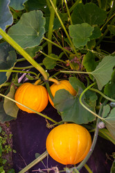 Similar image 21673693