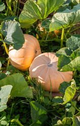 Similar image 21673965