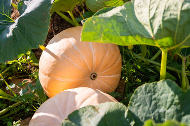 Similar image 21673966