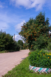 Similar image 21673062