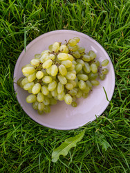 Similar image 21674062