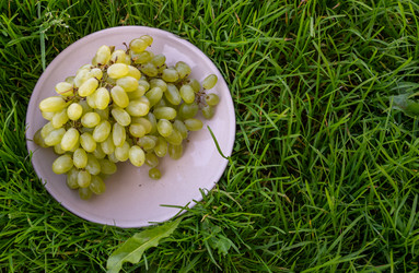 Similar image 21674063