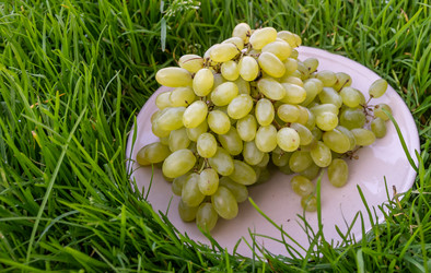 Similar image 21674065