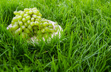 Similar image 21674066