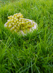 Similar image 21674067