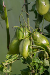 Similar image 21673068