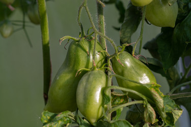 Similar image 21673069