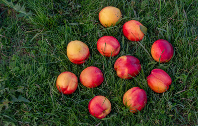 Similar image 21675296