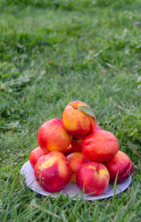 Similar image 21675298