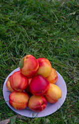 Similar image 21675299