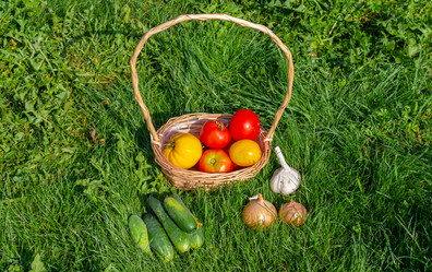 Similar image 21673697