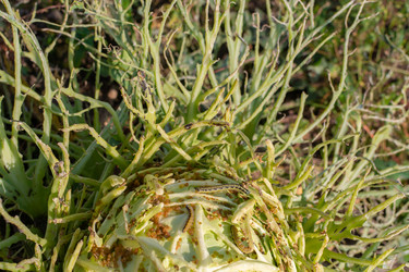 Similar image 21675302