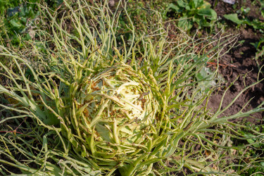 Similar image 21675303